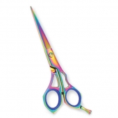 Professional Hair Cutting Scissors